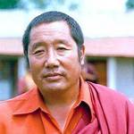 Penor Rinpoche
