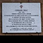 Gerhard Wolf