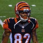 Marvin Jones (wide receiver)