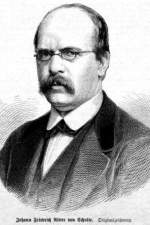 Johann Friedrich von Schulte