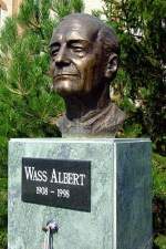 Albert Wass