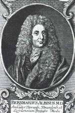 Bernhardus Albinus