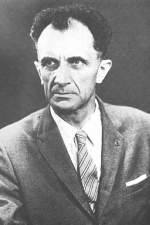 Adolf Busemann