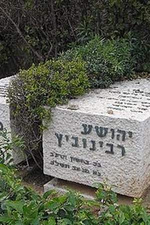 Yehoshua Rabinovitz