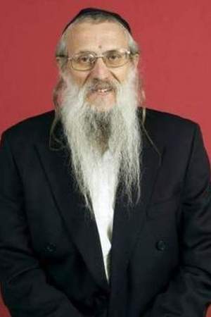 Yosef Mendelevitch