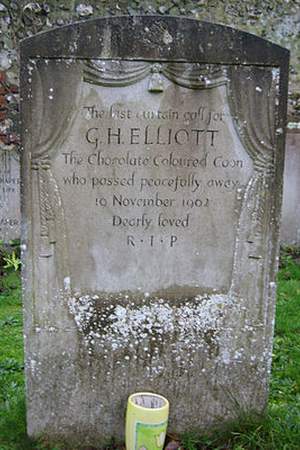 G. H. Elliott