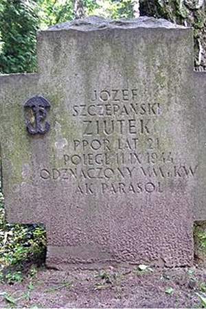 Józef Szczepański
