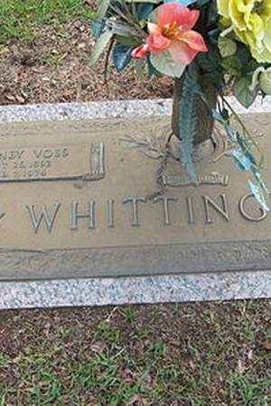 V. V. Whittington