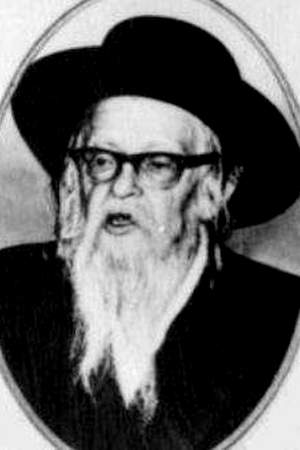 Dov Berish Weidenfeld