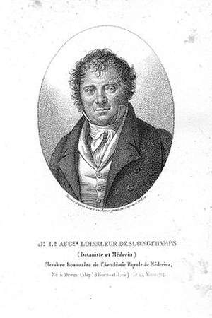Jean-Louis-Auguste Loiseleur-Deslongchamps