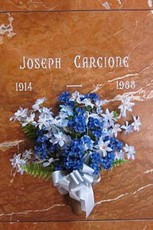 Joe Carcione