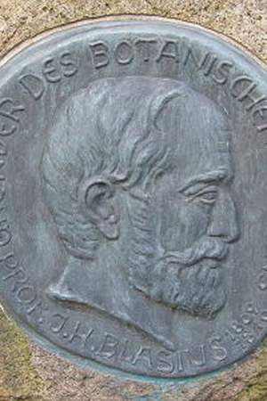 Johann Heinrich Blasius