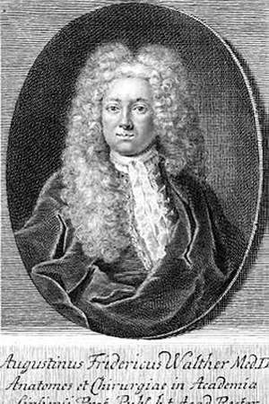 Augustin Friedrich Walther