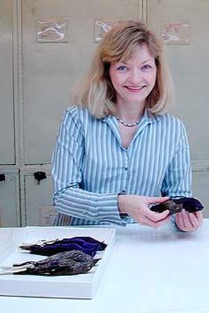 Pamela C. Rasmussen