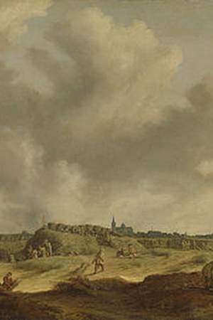 Pieter de Neyn