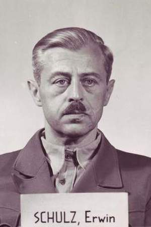 Erwin Schulz