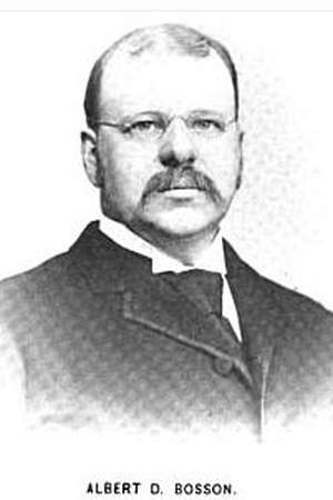 Albert D. Bosson