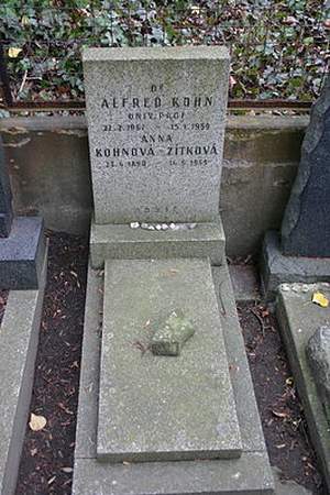 Alfred Kohn