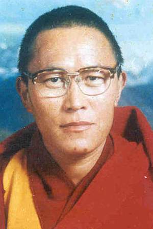 Tenzin Delek Rinpoche