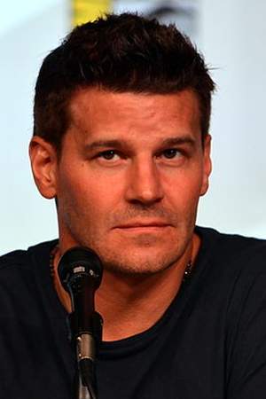 David Boreanaz