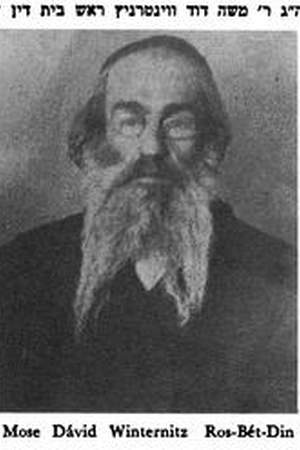Moshe Dovid Winternitz