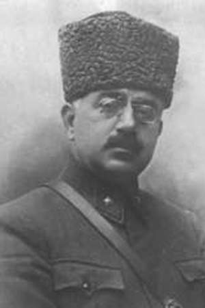 Ali Hikmet Ayerdem