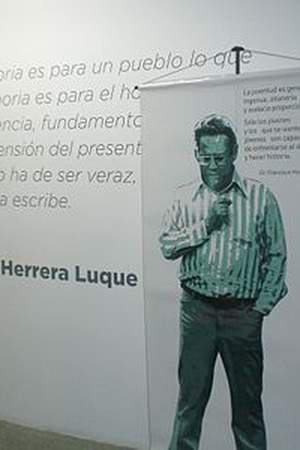 Francisco Herrera Luque