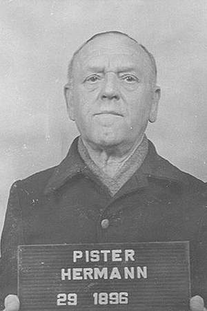 Hermann Pister
