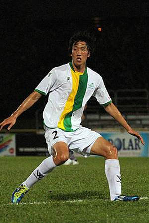 Cho Sung-hwan (footballer born 1985)