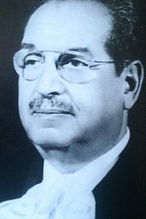 Abdel Hamid Badawi
