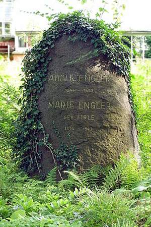 Adolf Engler