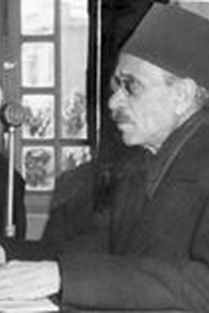 Ahmed Lutfi el-Sayed