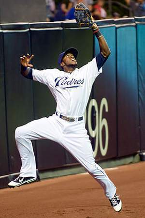 Cameron Maybin