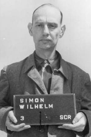 Wilhelm Simon