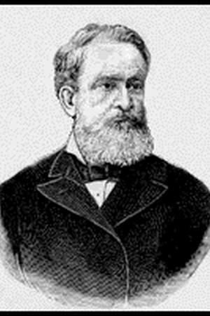 José Bonifácio the Younger