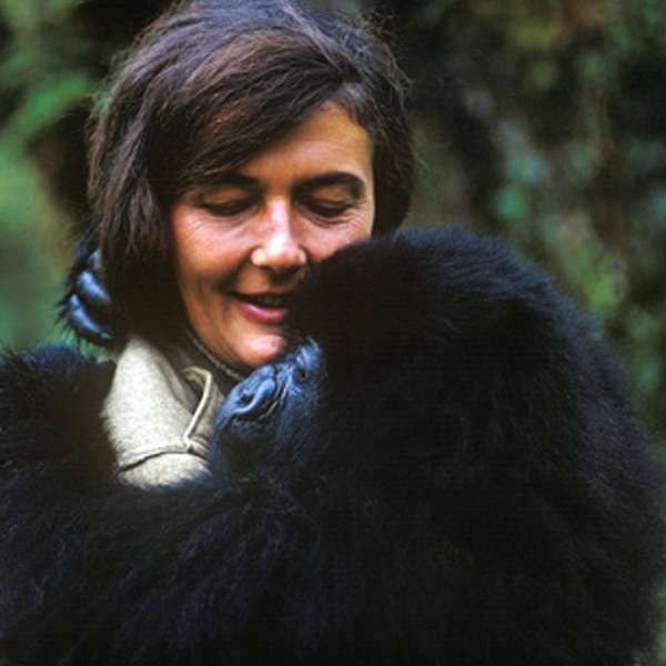 Dian Fossey