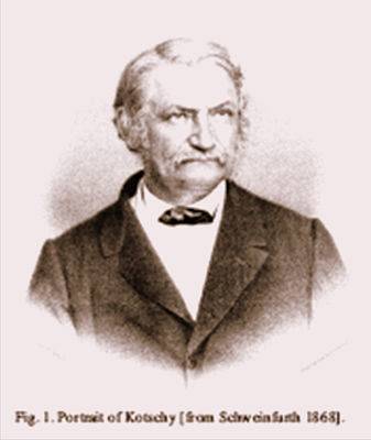 Theodor Kotschy