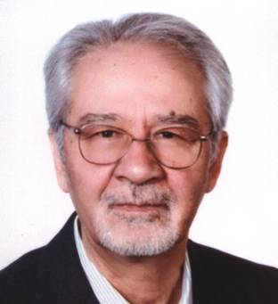 Mohammad Mehdi Behkish