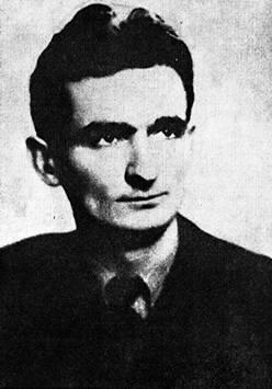 Vladimir Perić Valter