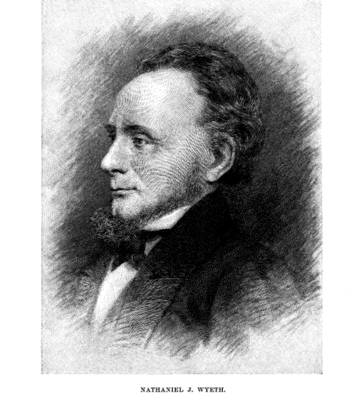 Nathaniel Jarvis Wyeth