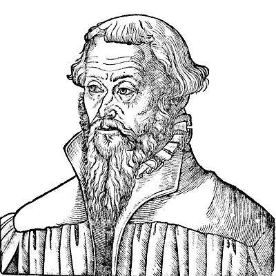 Nicolaus Gallus